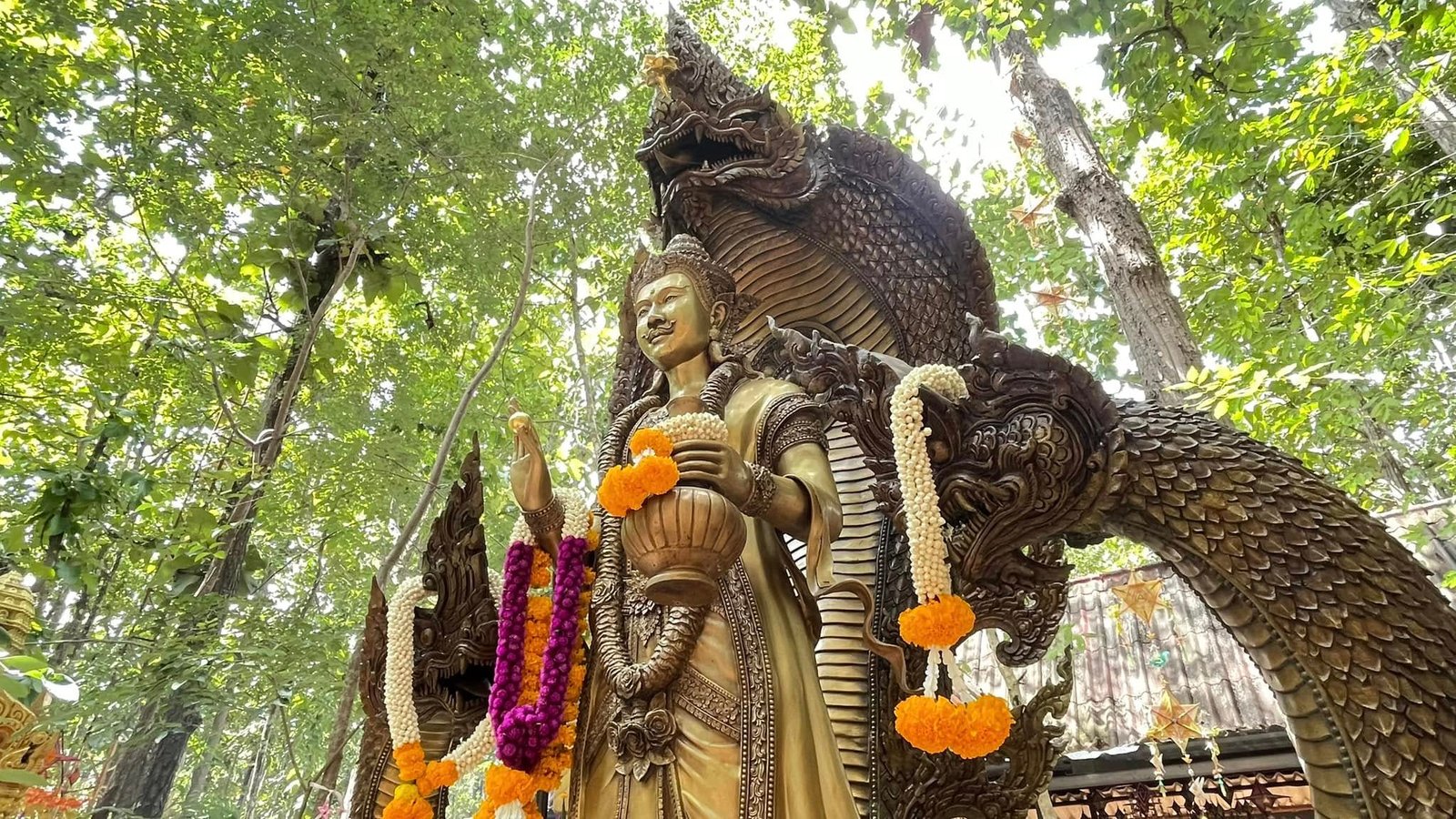 ประวัติ 3